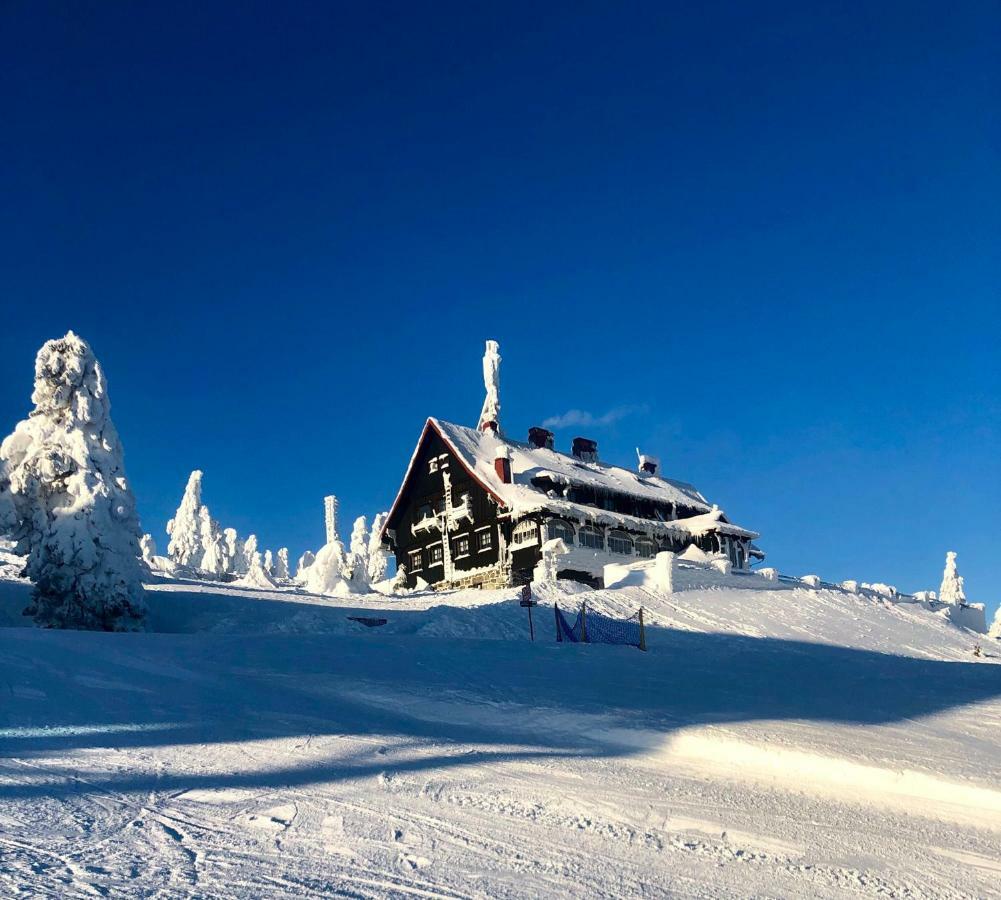 Ski Sun Sea - Rodzinny Apartament Pod Gondola Swieradow-Zdroj Exterior foto
